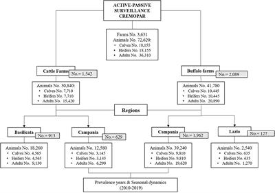 A 10-Year Surveillance of Eimeria spp. in Cattle and Buffaloes in a Mediterranean Area